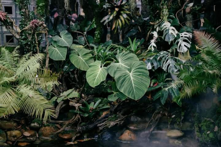 Harmony Garden - Home And Coffee Хюэ Экстерьер фото